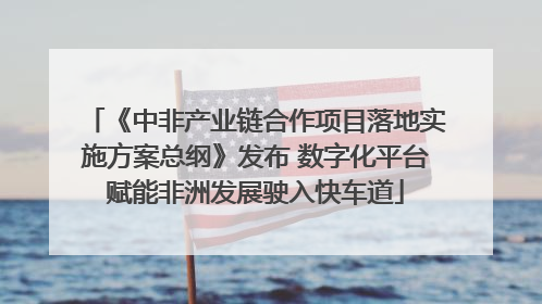 《中非产业链合作项目落地实施方案总纲》发布 数字化平台赋能非洲发展驶入快车道