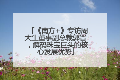 《南方+》专访周大生董事副总裁郭晋，解码珠宝巨头的核心发展优势