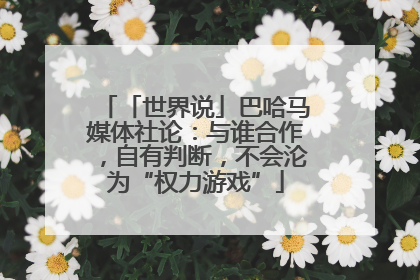 「世界说」巴哈马媒体社论：与谁合作，自有判断，不会沦为“权力游戏”