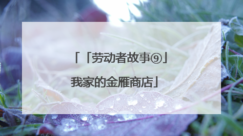 「劳动者故事⑨」我家的金雁商店