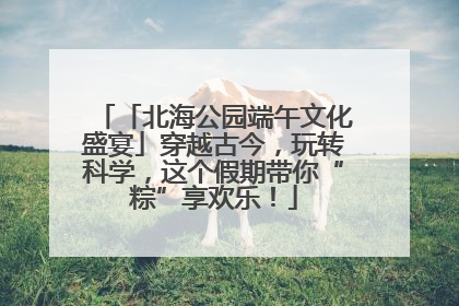 「北海公园端午文化盛宴」穿越古今，玩转科学，这个假期带你“粽”享欢乐！
