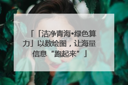「洁净青海•绿色算力」以数绘图，让海量信息“跑起来”