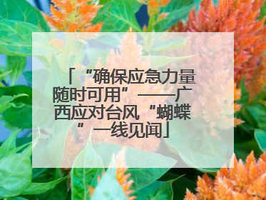 “确保应急力量随时可用”——广西应对台风“蝴蝶”一线见闻