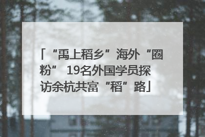 “禹上稻乡”海外“圈粉” 19名外国学员探访余杭共富“稻”路