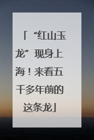 “红山玉龙”现身上海！来看五千多年前的这条龙