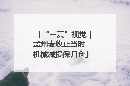 “三夏”视觉｜孟州麦收正当时 机械减损保归仓