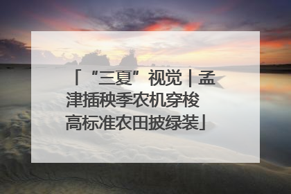 “三夏”视觉｜孟津插秧季农机穿梭 高标准农田披绿装