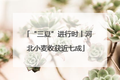 “三夏”进行时丨河北小麦收获近七成