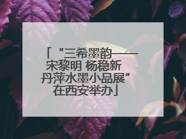 “三希墨韵——宋黎明 杨稳新 丹萍水墨小品展”在西安举办