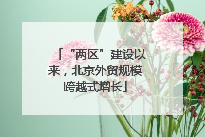 “两区”建设以来，北京外贸规模跨越式增长