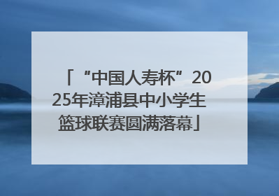 “中国人寿杯”2025年漳浦县中小学生篮球联赛圆满落幕