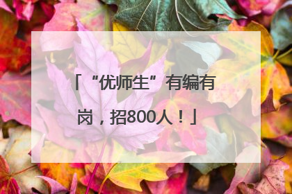 “优师生”有编有岗，招800人！
