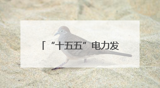 “十五五”电力发展规划该如何做？