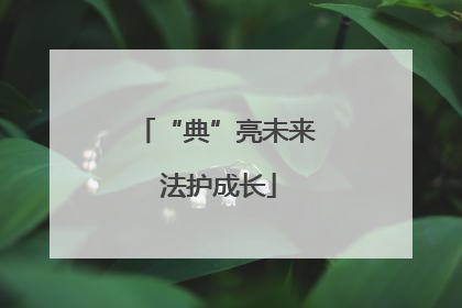 “典”亮未来 法护成长