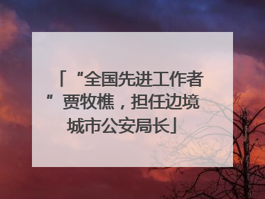“全国先进工作者”贾牧樵，担任边境城市公安局长