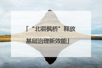 “北疆枫桥”释放基层治理新效能
