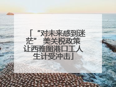 “对未来感到迷茫” 美关税政策让西雅图港口工人生计受冲击