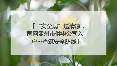 “安全扇”送清凉，国网孟州市供电公司入户排查筑安全防线