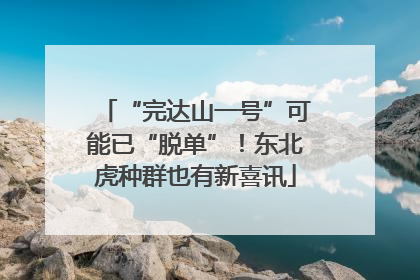 “完达山一号”可能已“脱单”！东北虎种群也有新喜讯
