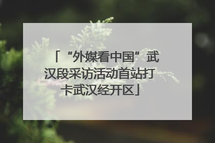 “外媒看中国”武汉段采访活动首站打卡武汉经开区