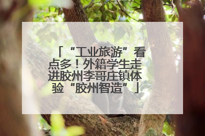 “工业旅游”看点多！外籍学生走进胶州李哥庄镇体验“胶州智造”