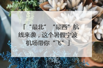 “最北”“最西”航线来袭，这个暑假宁波机场带你“飞”