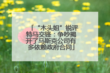 “木头姐”锐评特马交锋：争吵揭开了马斯克公司有多依赖政府合同