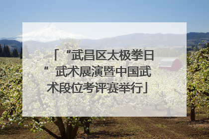 “武昌区太极拳日”武术展演暨中国武术段位考评赛举行