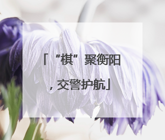 “棋”聚衡阳，交警护航