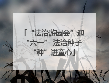 “法治游园会”迎“六一” 法治种子“种”进童心