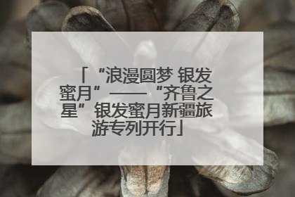 “浪漫圆梦 银发蜜月”——“齐鲁之星”银发蜜月新疆旅游专列开行