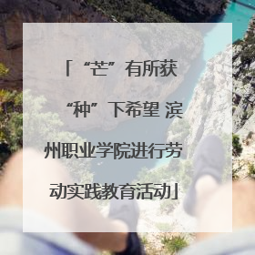 “芒”有所获 “种”下希望 滨州职业学院进行劳动实践教育活动