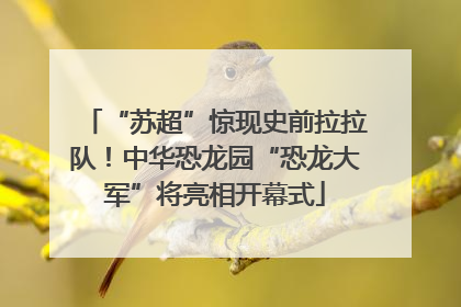 “苏超”惊现史前拉拉队！中华恐龙园“恐龙大军”将亮相开幕式