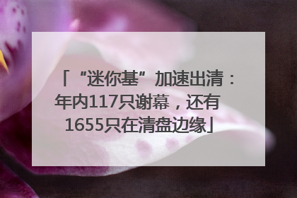 “迷你基”加速出清：年内117只谢幕，还有1655只在清盘边缘