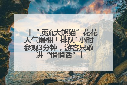 “顶流大熊猫”花花人气爆棚！排队1小时参观3分钟，游客只敢讲“悄悄话”