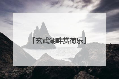 玄武湖畔赏荷乐