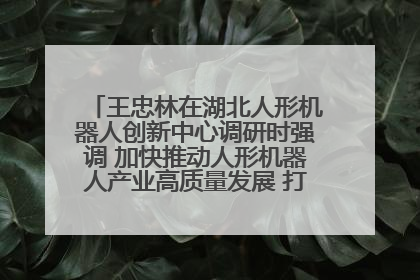 王忠林在湖北人形机器人创新中心调研时强调 加快推动人形机器人产业高质量发展 打造具有全国影响力的研发创新基地