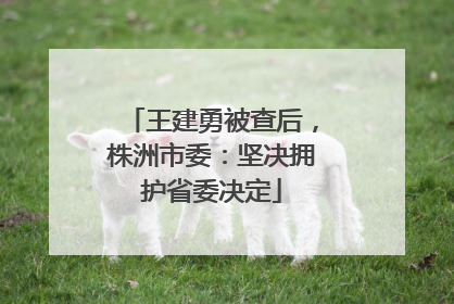 王建勇被查后，株洲市委：坚决拥护省委决定