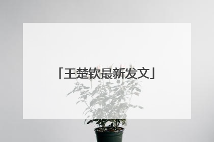 王楚钦最新发文
