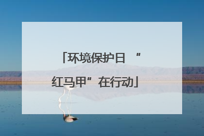 环境保护日 “红马甲”在行动