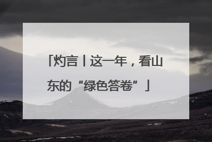 灼言丨这一年，看山东的“绿色答卷”