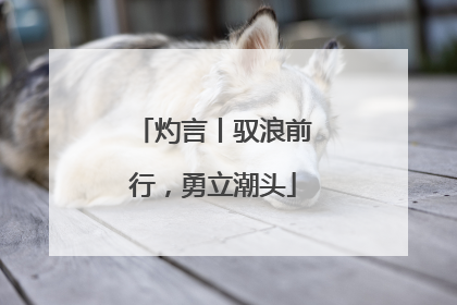 灼言丨驭浪前行，勇立潮头