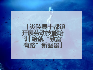 炎陵县十都镇开展劳动技能培训 绘就“致富有路”新图景