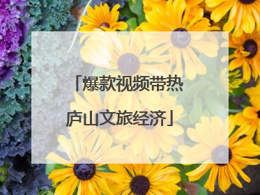 爆款视频带热庐山文旅经济