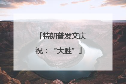 特朗普发文庆祝：“大胜”