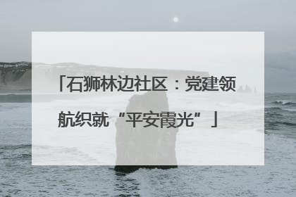 石狮林边社区：党建领航织就“平安霞光”