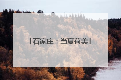 石家庄：当夏荷美