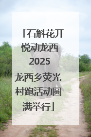 石斛花开 悦动龙西 2025龙西乡荧光村跑活动圆满举行