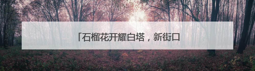 石榴花开耀白塔，新街口举办民族共同体宣传活动