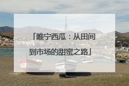 睢宁西瓜：从田间到市场的甜蜜之路